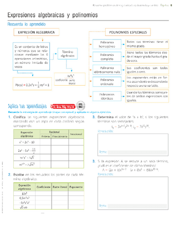 Expresiones-algebraicas-y-poligonos.pdf