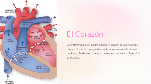 El-Corazon.pdf