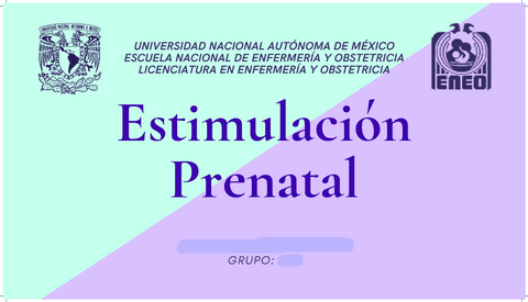 Presentacion-estimulacion-prenatal.pdf