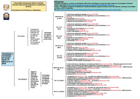 Morbilidad-y-mortalidad-por-grupo-etario-en-Mexico-en-el-2015.pdf