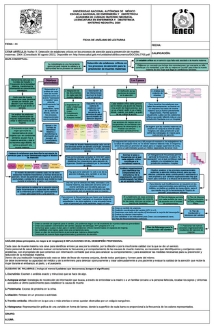 Deteccion-de-eslabones-criticos-en-los-procesos-de-atencion-para-la-prevencion-de-muertes-maternas.pdf