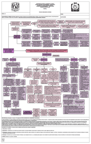 Estrategia-Integral-para-Acelerar-la-Reduccion-de-la-Mortalidad-Materna-en-Mexico.pdf