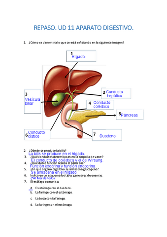 ACTIVIDADES-UD.-11-HECHOS.pdf