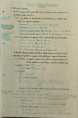 espacios-vectoriales-reales.pdf