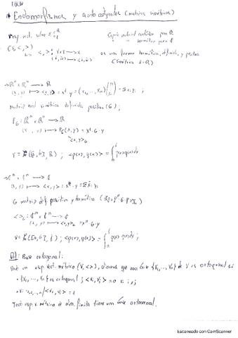 Apuntesteoriaendomorfismosyautoadjuntos.pdf
