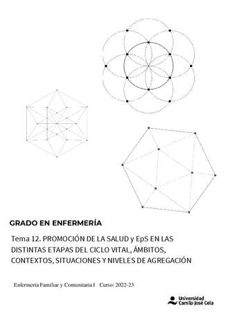 Comunitaria-T.12.pdf