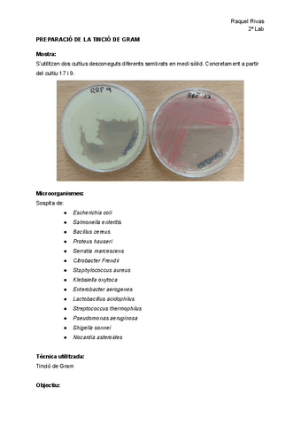 Informe-preparacion-Tincion-de-Gram.pdf