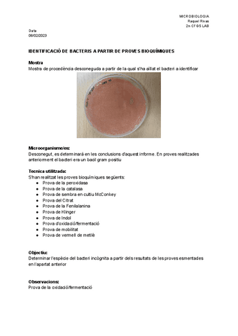 Informe-pruebas-bioquimicas.pdf