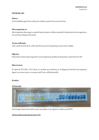 Informe-resultados-API.pdf