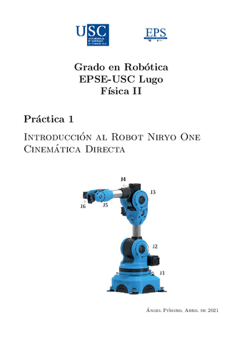 P1Niryo.pdf