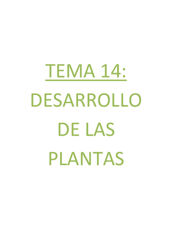 PREGUNTAS-EXAMEN-2o-cuatri.pdf