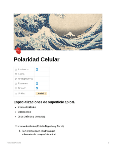 Polaridad-Celular.pdf
