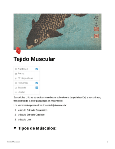 Tejido-Muscular.pdf