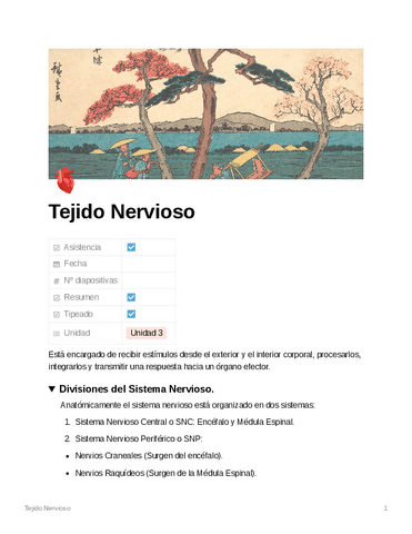 Tejido-Nervioso.pdf