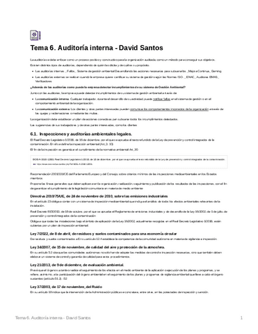 Tema-6-Auditoria-interna.pdf