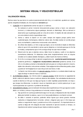 Practica-2-Sistema-Visual-y-Visuovestibular-Patricia.pdf