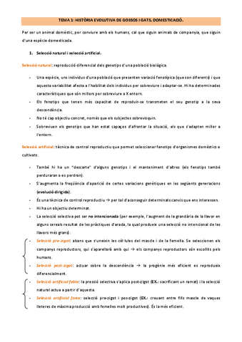 TEMA-1.pdf