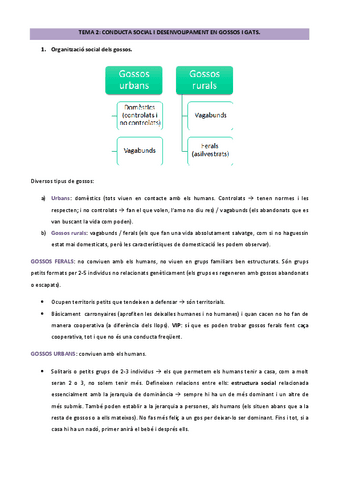 TEMA-2.pdf