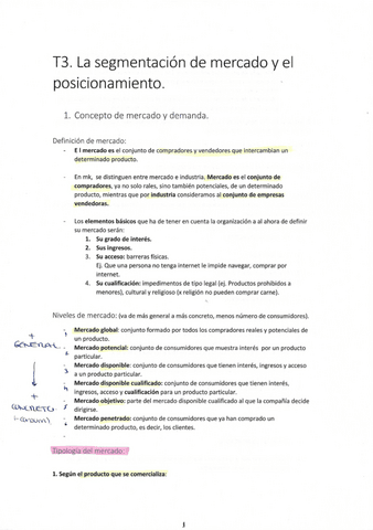 T3-segmentacion-del-mercado.pdf