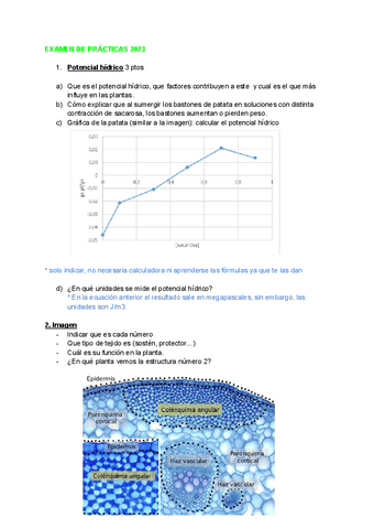 Exam-practicas-2023.pdf