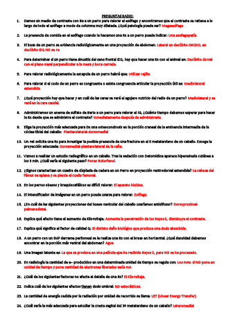 PREGUNTAS-RADIO.pdf