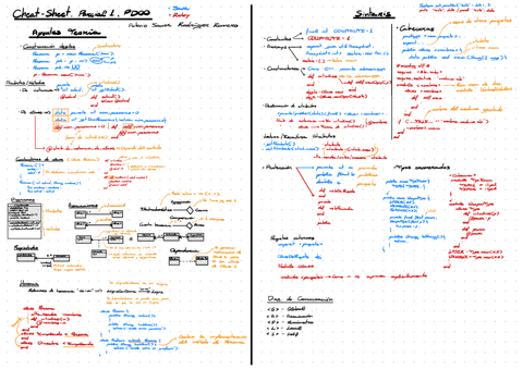 Cheat-Sheet-Parcial-1.pdf