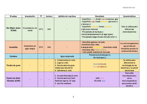 Tipos-de-pruebas-del-laboratorio.pdf