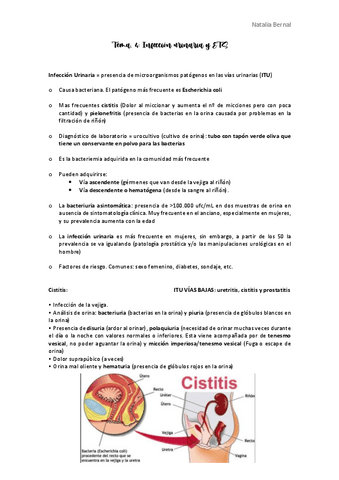 Tema-4.pdf