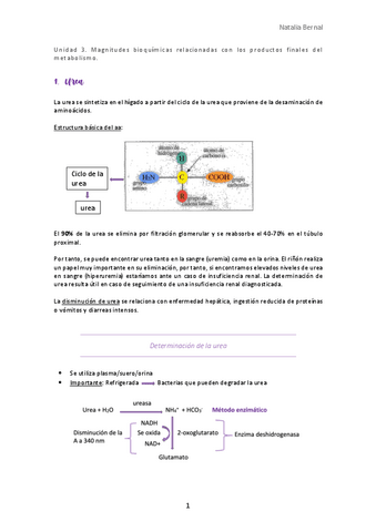 Unidad-3.pdf