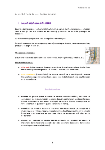 Unidad-6.pdf
