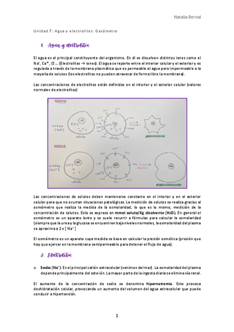 Unidad-7.pdf