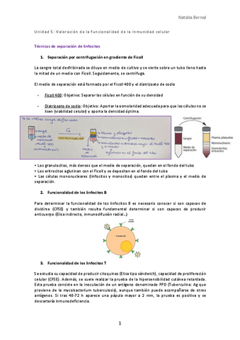 Unidad-5.pdf