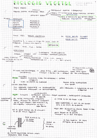 Biologia-vegetal-botanica.pdf