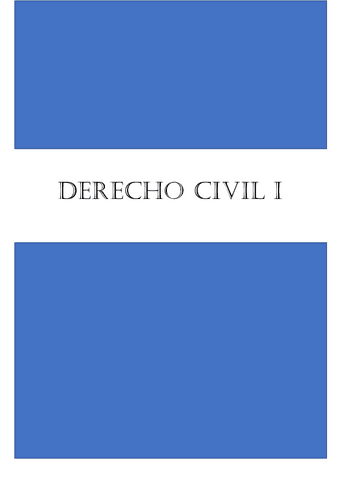 resumen-civil-I.pdf