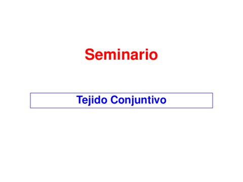 2o-SEMINARIO-TEJ.CONJUNTIVO.pdf