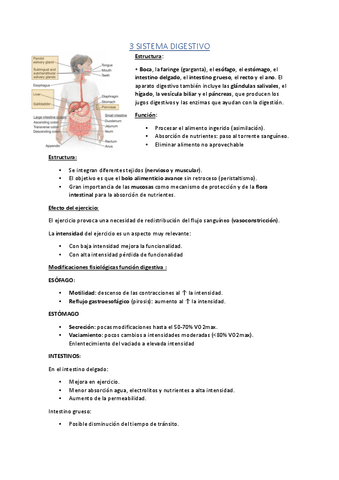 3-sistema-digestivo-4-sistema-renal.pdf