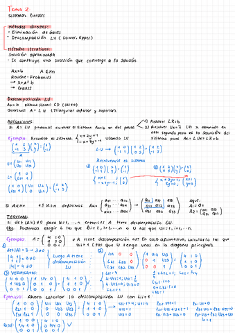 Tema-2-sistemas-no-lineales.pdf