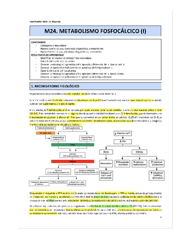 M24.-Malalties-paratiroides-I.pdf