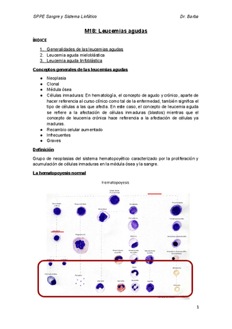 M18.docx.pdf