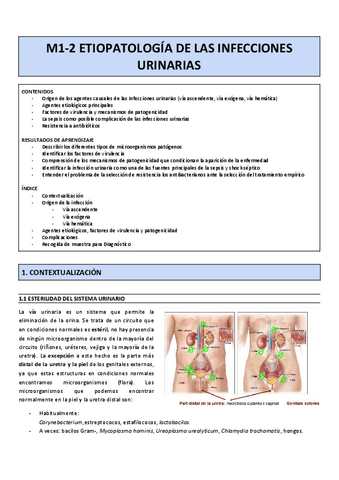 M1-M2-Etiopatologia-de-las-infecciones-urinarias.docx-2.pdf