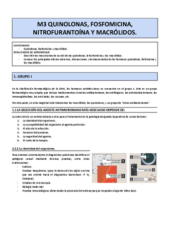 M3.-Quinolonas-fosfomicina-nitrofurantoina-y-macrolidos.pdf