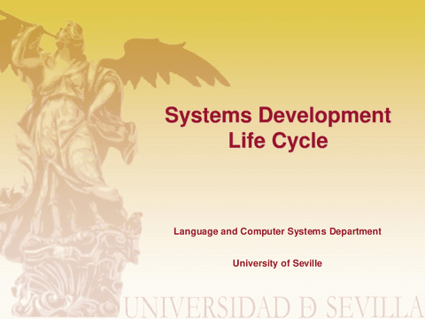T2-Software-development-lifecycle-models.pdf