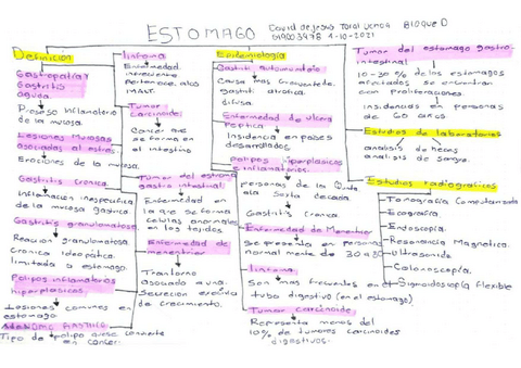 Estomago.pdf