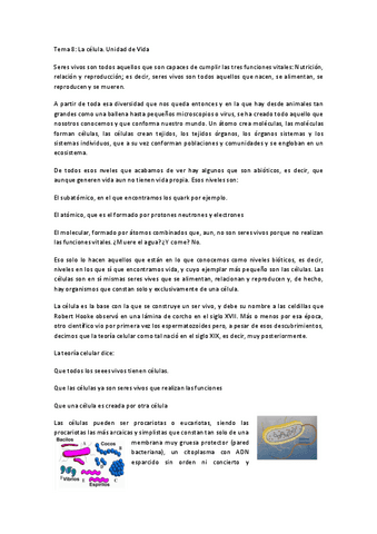 Tema-8.pdf