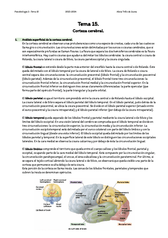 Resumen-tema-15-Corteza-cerebral..pdf