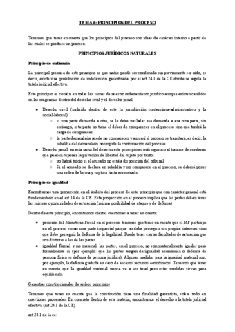 TEMA-6-PRINCIPIOS-DEL-PROCESO.pdf