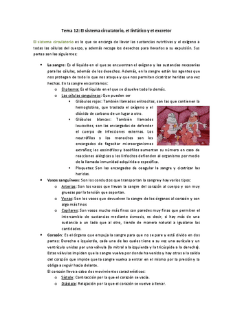 Tema-12.pdf