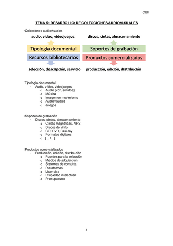 TEMA-5CUI.pdf