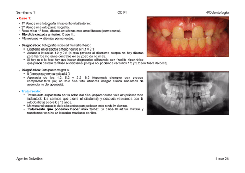 Seminario-1-ODP-I.pdf