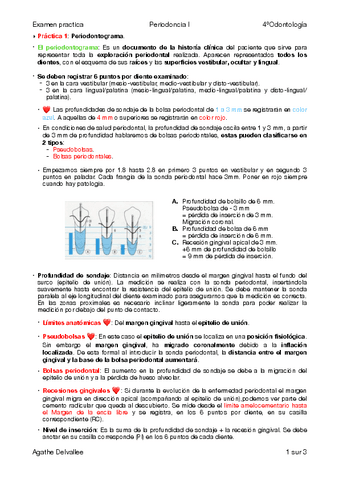 Examen-practica.pdf